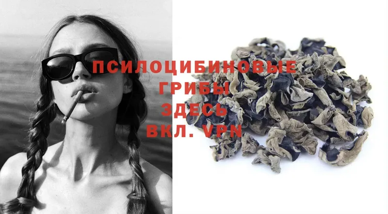 Псилоцибиновые грибы Psilocybe  Грязи 